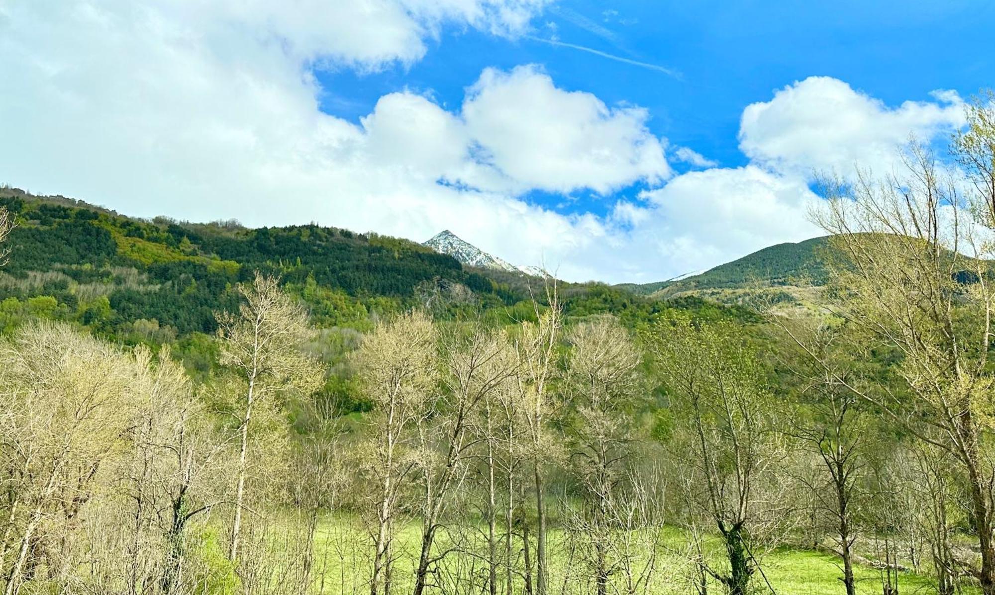 شقة Bpirineos-Besurta بيناسكي المظهر الخارجي الصورة